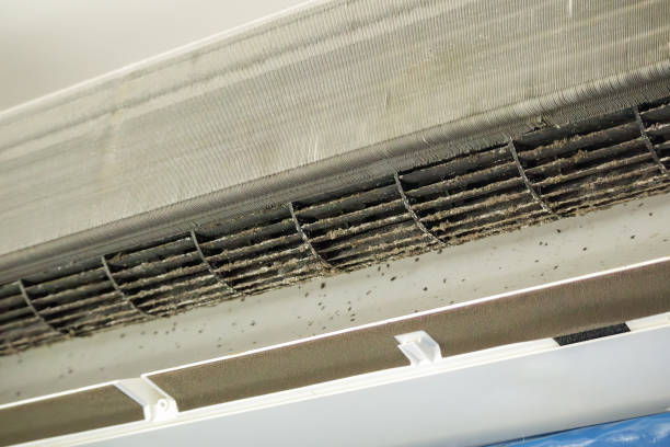 Best Duct Cleaning for Homes  in Tyndall Af, FL